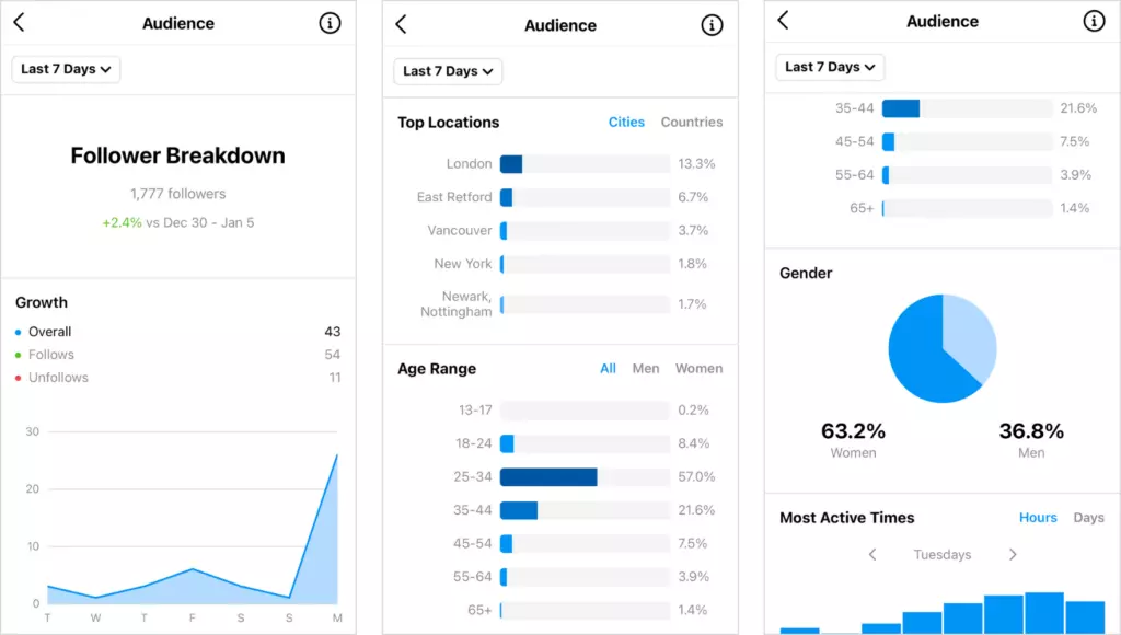 How to find the target audience using Instagram analytics?