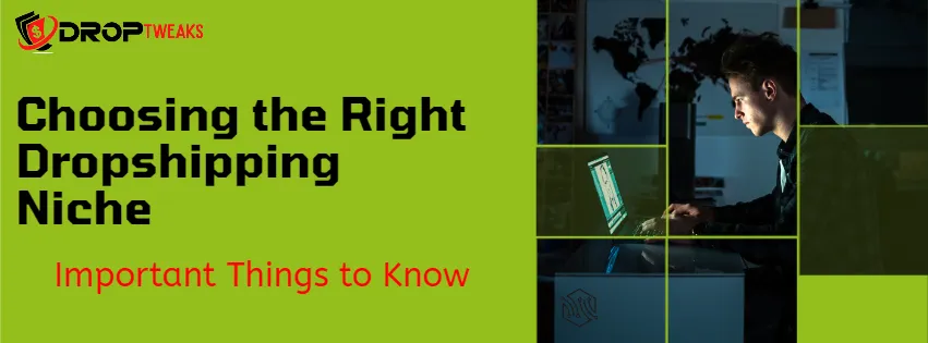Choosing the Right Dropshipping Niche