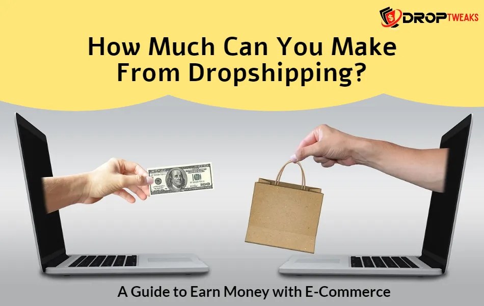 How Much Can You Make From Dropshipping? Earn Money In 2023