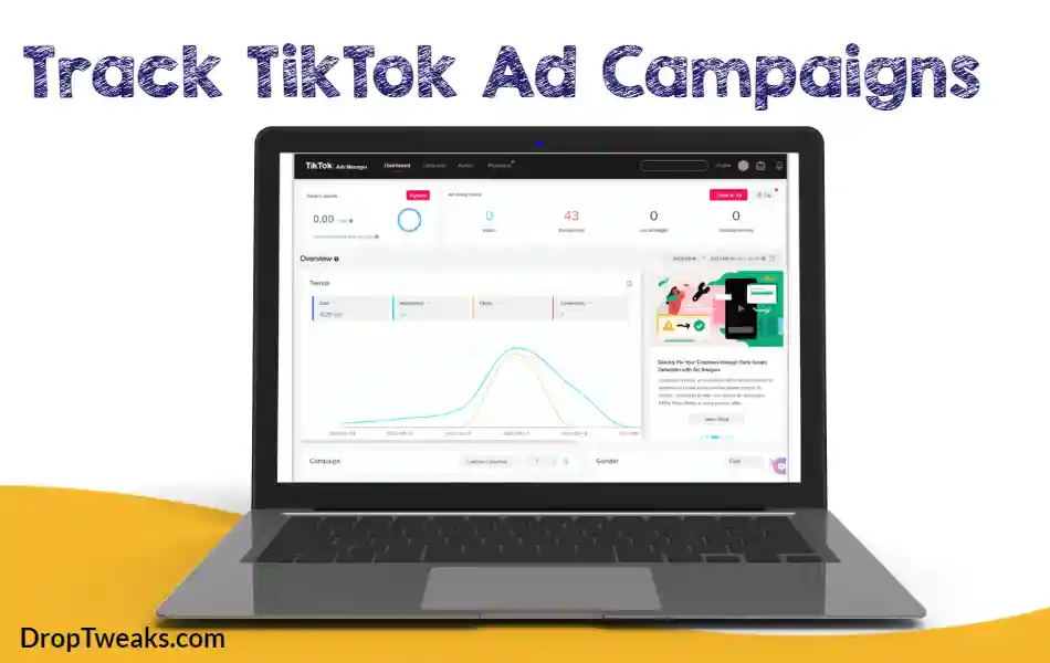 Track TikTok Ad Campaigns