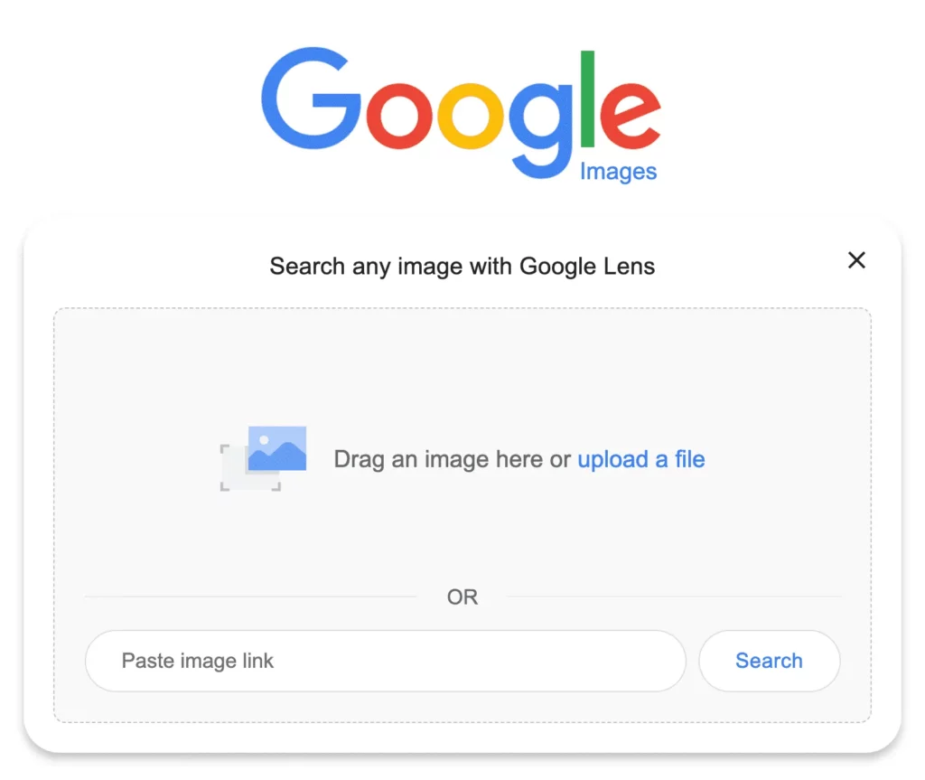 Google Reverse Image Search