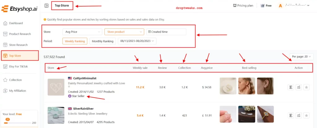 Estyshop.ai Top Store Analysis Feature