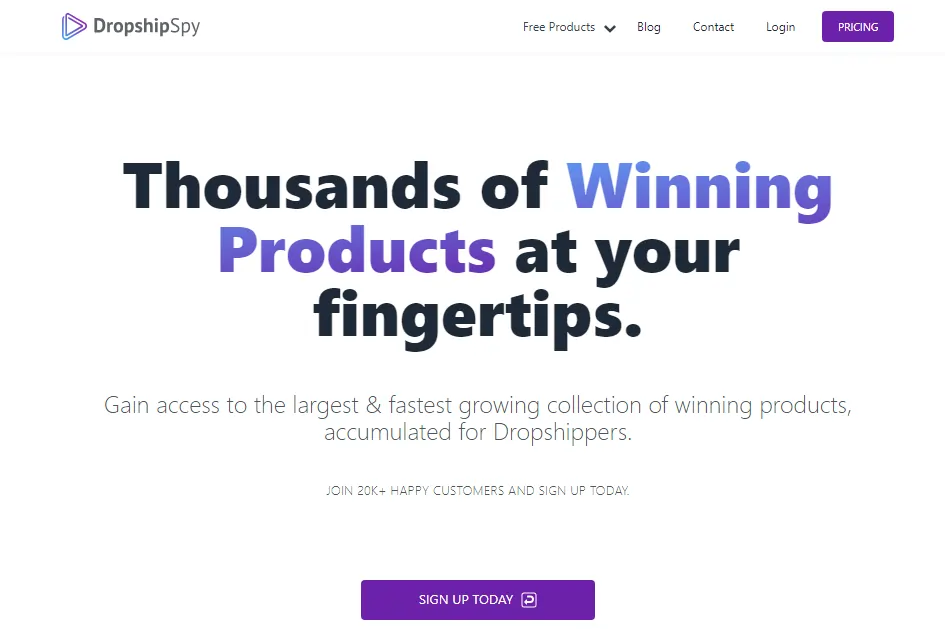 Dropship Spy Review