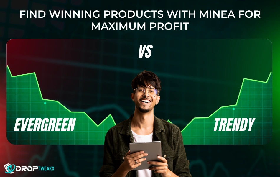 Find Winning Products with Minea for Maximum Profit